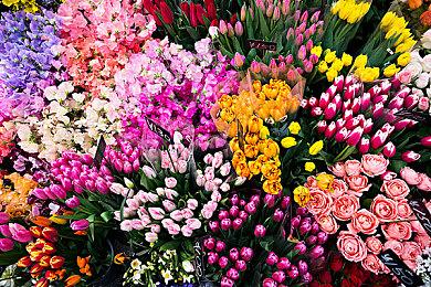 宇宙开发MMORPG《双重宇宙》确定9月28日上线1.0正式版